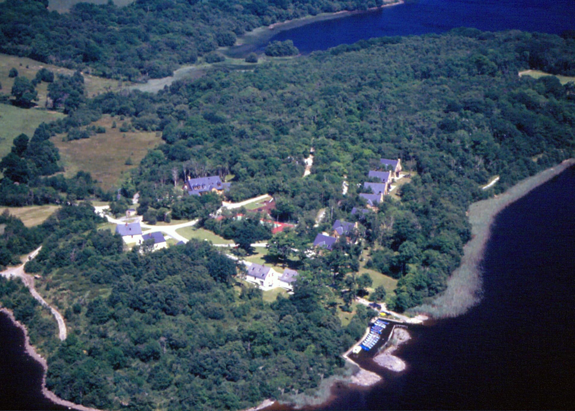 Aerial view of a wooded Fermanagh lakeside estate